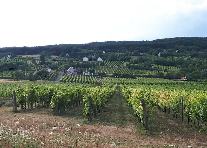 Casa de Férias Káli 120